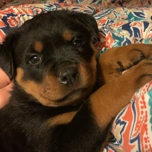 Meet your Posher, Carla